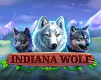 Indiana Wolf